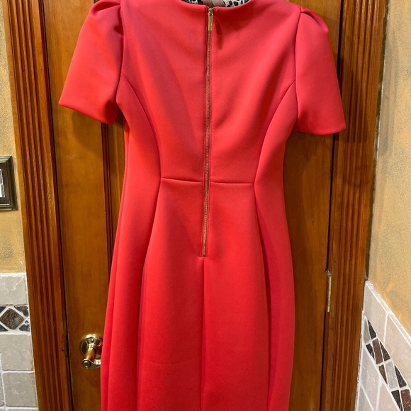 Mini Scuba Dress - Picture 2 of 4